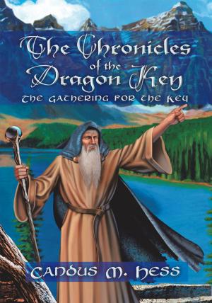 Book cover of The Chronicles of the Dragon Key