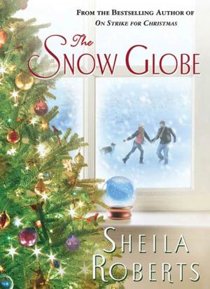 Book cover of The Snow Globe