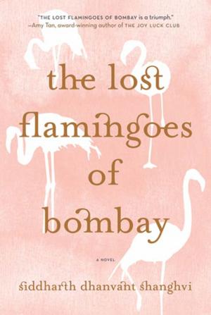 Cover of the book The Lost Flamingoes of Bombay by Beverly Brandt