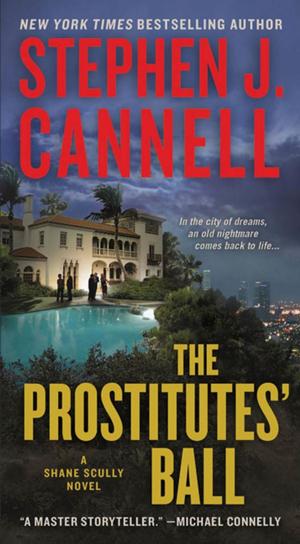 bigCover of the book The Prostitutes' Ball by 