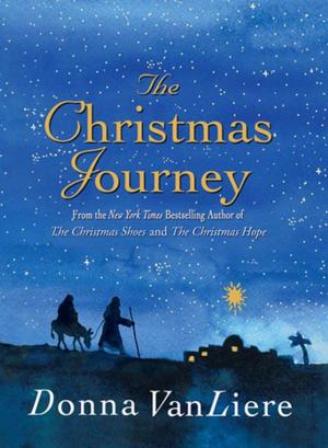 Book cover of The Christmas Journey