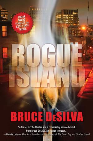 Cover of the book Rogue Island by Douglas E. Richards