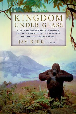 Cover of the book Kingdom Under Glass by Bette Hagman