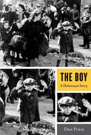 bigCover of the book The Boy by 