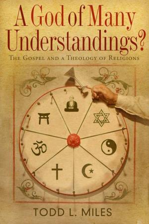 Cover of the book A God of Many Understandings by Ed Stetzer, Richie Stanley, Jason Hayes