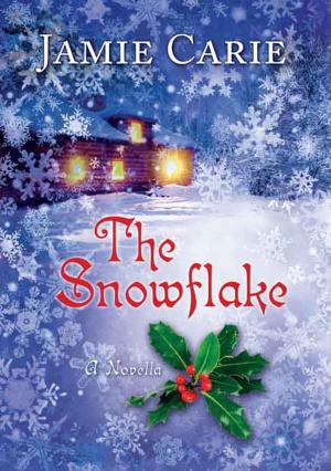 bigCover of the book The Snowflake by 