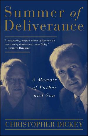 Cover of the book Summer of Deliverance by John Pina Craven