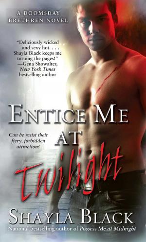 Book cover of Entice Me at Twilight