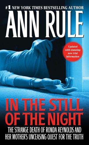 Cover of the book In the Still of the Night by Aaron Karo