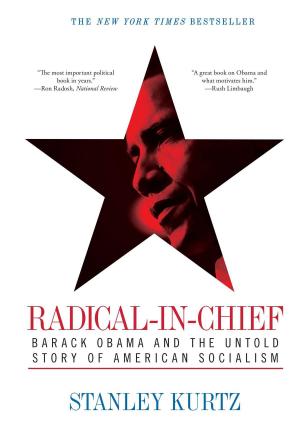 Cover of the book Radical-in-Chief by Lyn Buchanan