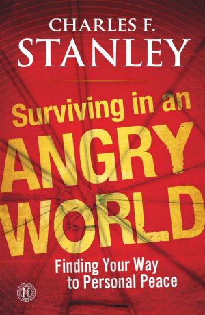 Book cover of Surviving in an Angry World