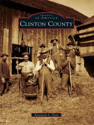 Cover of the book Clinton County by Tobi Lopez Taylor