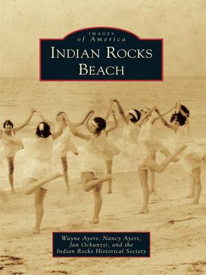 Cover of the book Indian Rocks Beach by Stephanie Burt Williams