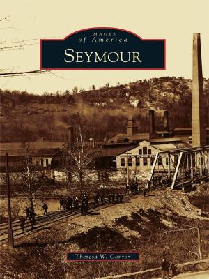 Cover of the book Seymour by Patti Light