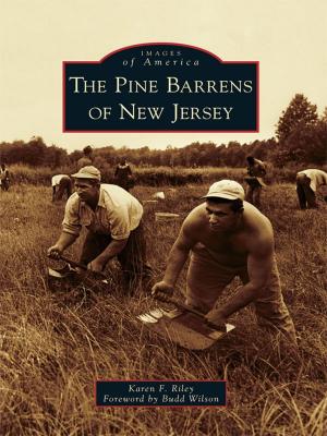 Cover of the book The Pine Barrens of New Jersey by G. Timothy Cranston