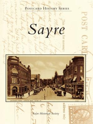 Cover of the book Sayre by Jeff Benziger