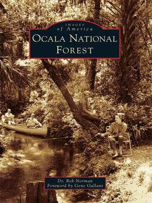 Cover of the book Ocala National Forest by Jackson McQuigg, Tammy Galloway, Scott McIntosh, Atlanta History Center