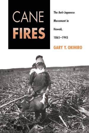 Cover of the book Cane Fires by Simon Bornschier