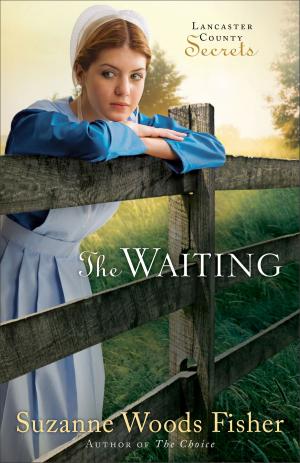 Cover of the book Waiting, The (Lancaster County Secrets Book #2) by Scarlett Parrish