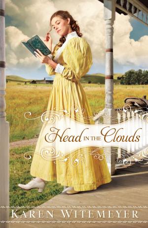 Cover of the book Head in the Clouds by David Aikman