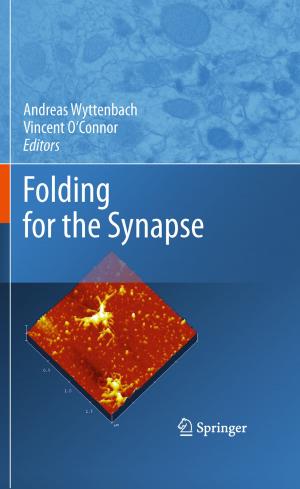 Cover of the book Folding for the Synapse by 