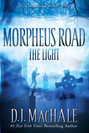 Book cover of The Light