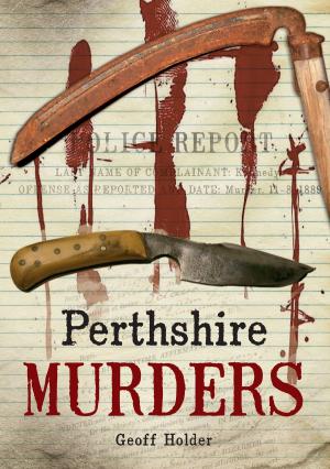 Cover of the book Perthshire Murders by Gill Jepson