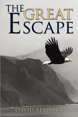 Cover of the book The Great Escape by LISA BARBER