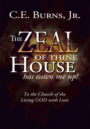 Cover of the book The Zeal of Thine House Has Eaten Me Up! by Annie B. Carwyn