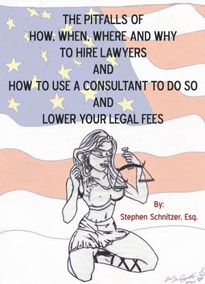 bigCover of the book The Pitfalls of How, When, Where and Why to Hire Lawyers and How to Use a Consultant to Do so and Lower Your Legal Fees by 