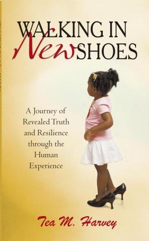 Cover of the book Walking in New Shoes by James Lawson