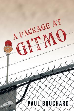 Cover of the book A Package at Gitmo by Mary T. Lennox