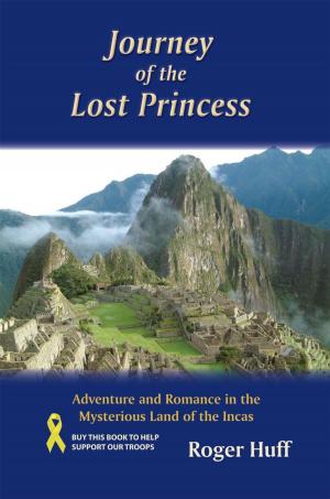 Book cover of Journey of the Lost Princess