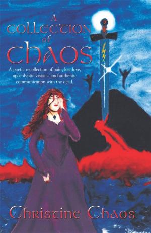 Cover of the book A Collection of Chaos by Verne Castress
