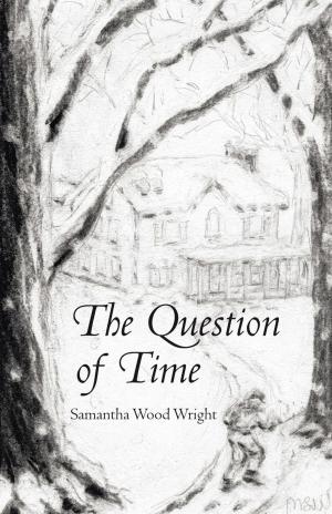 Cover of the book The Question of Time by Miguel Ochoa
