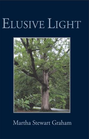 Cover of the book Elusive Light by Danny Rittman