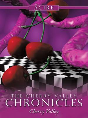 bigCover of the book The Cherry Valley Chronicles by 