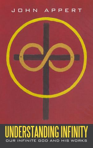 Cover of the book Understanding Infinity by Robert J. Gossett