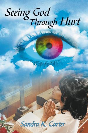 Cover of the book Seeing God Through Hurt by AJ Bradford