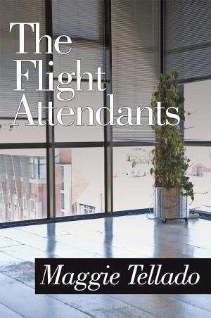 Book cover of The Flight Attendants