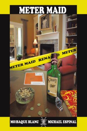 Cover of the book Meter Maid by James A. Connell