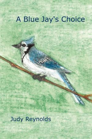Cover of the book A Blue Jay's Choice by Janet McCanless