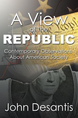 Cover of the book A View of the Republic by A.J. O'Connell