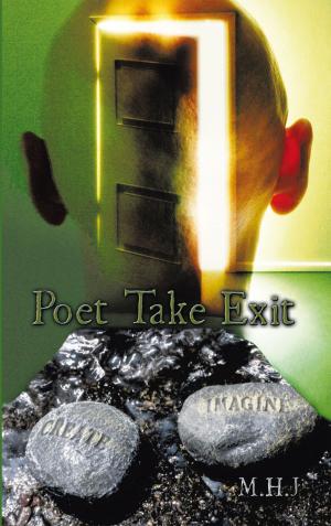 Cover of the book Poet Take Exit by Christophe Finipolscie