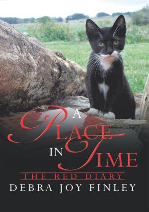Cover of the book A Place in Time by Michael Ribar