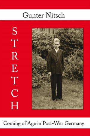 Cover of the book Stretch by Harriet Rossetto