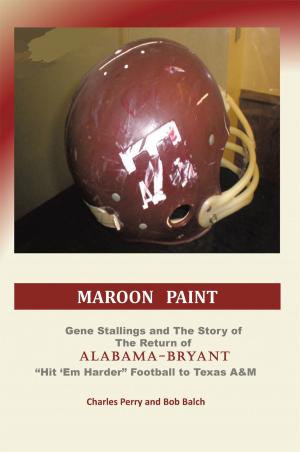 Cover of the book Maroon Paint by Carolyn Roos Olsen, Marylin Hudson