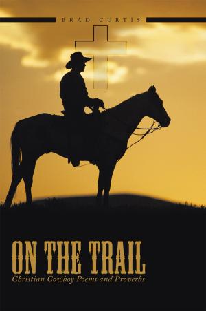 Cover of the book On the Trail by Albert Kaufman, Stephen Kaufman PhD, MD, MBA, NWA