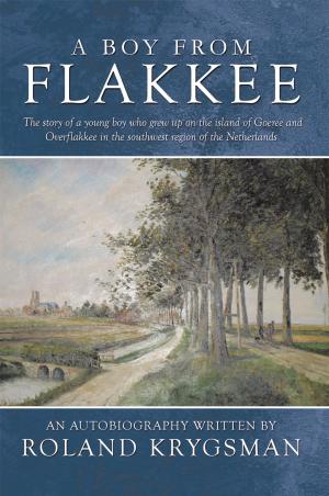 Cover of the book A Boy from Flakkee by DON WOOD