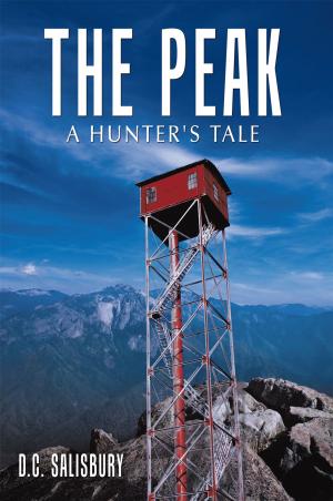 Cover of the book The Peak by jusTemple